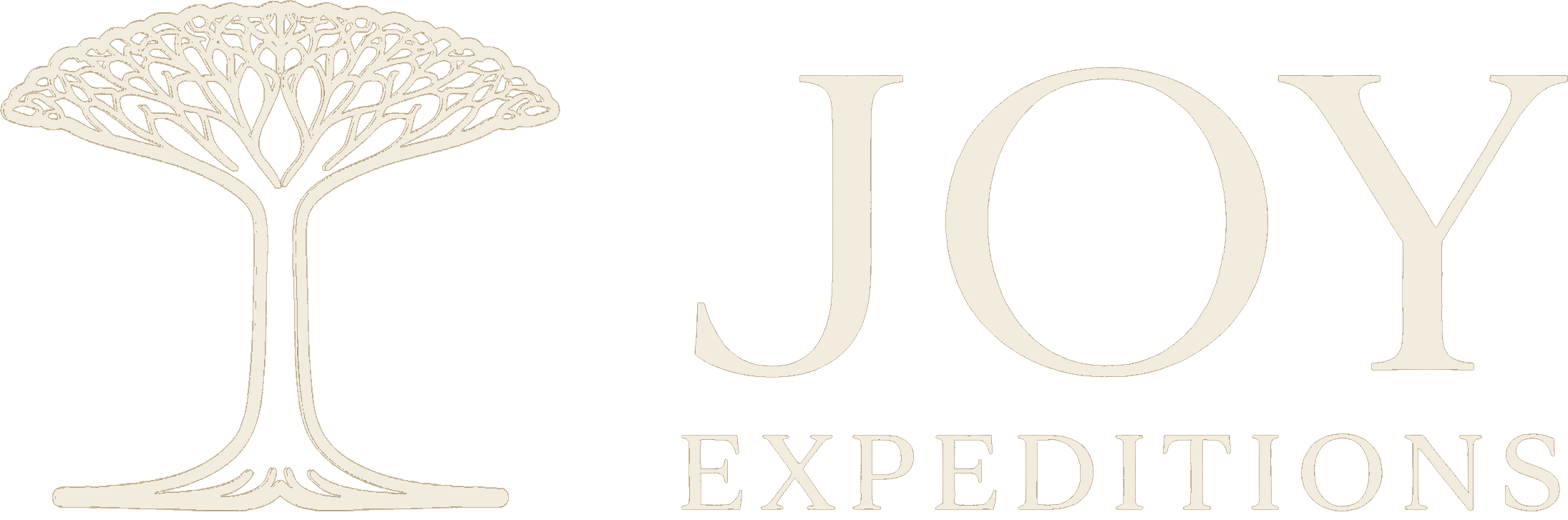 JOY EXPEDITIONS