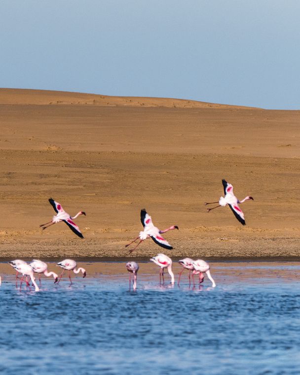 绝世红沙 / The Peerless Red Desert