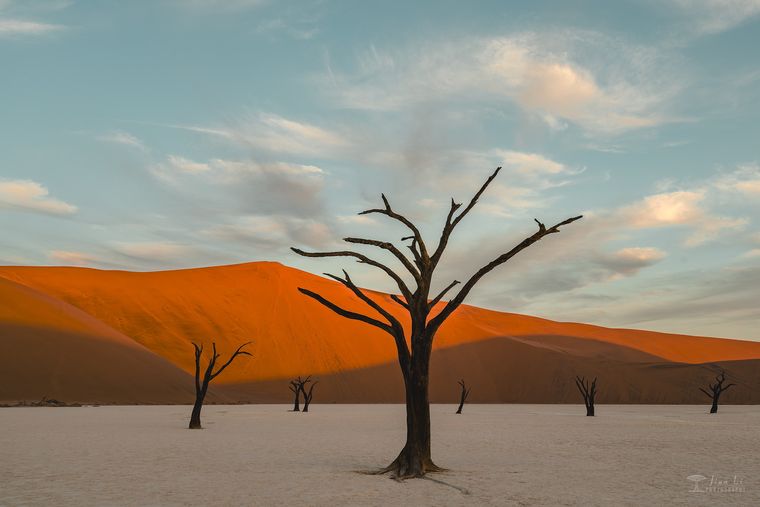 绝世红沙 / The Peerless Red Desert