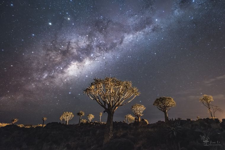 绝世红沙 / The Peerless Red Desert