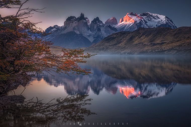 狂野巴塔 / Wild Patagonia