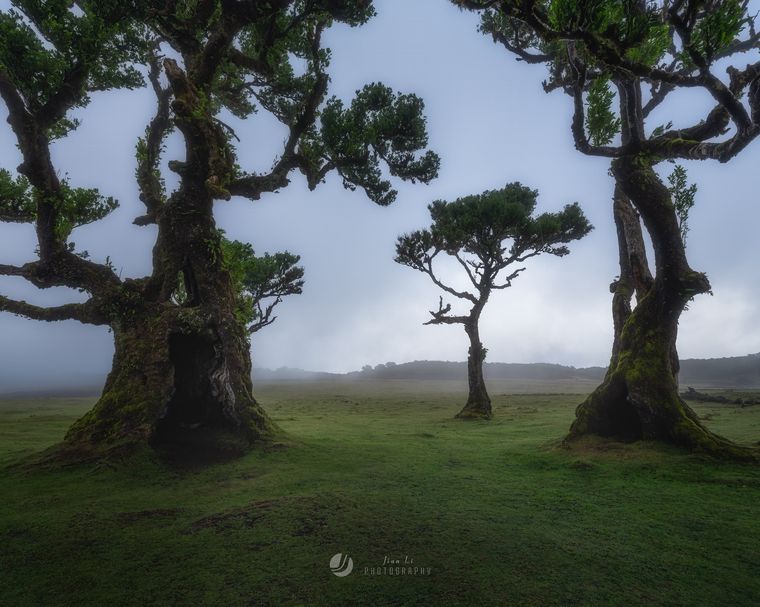 秘境海岸 / The Hidden Coast