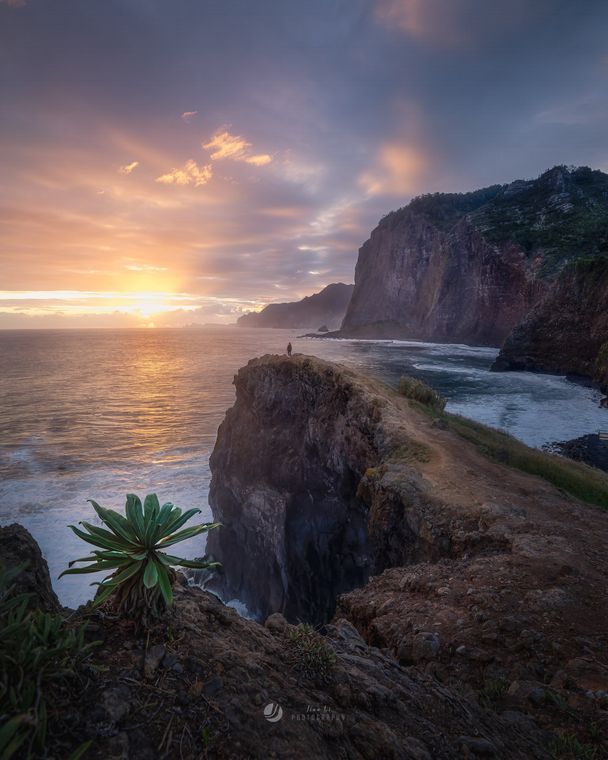 秘境海岸 / The Hidden Coast