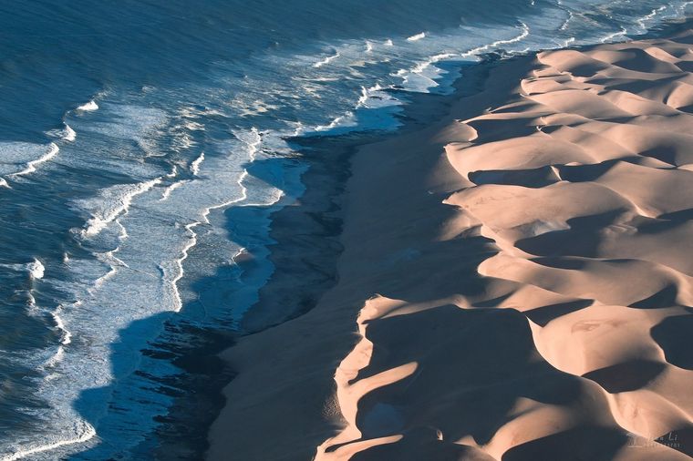 花海与红沙 / The Flower Sea & The Red Desert